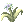 Flor Vital