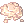 Bactérias