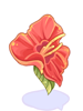 Hibiscus Gigante